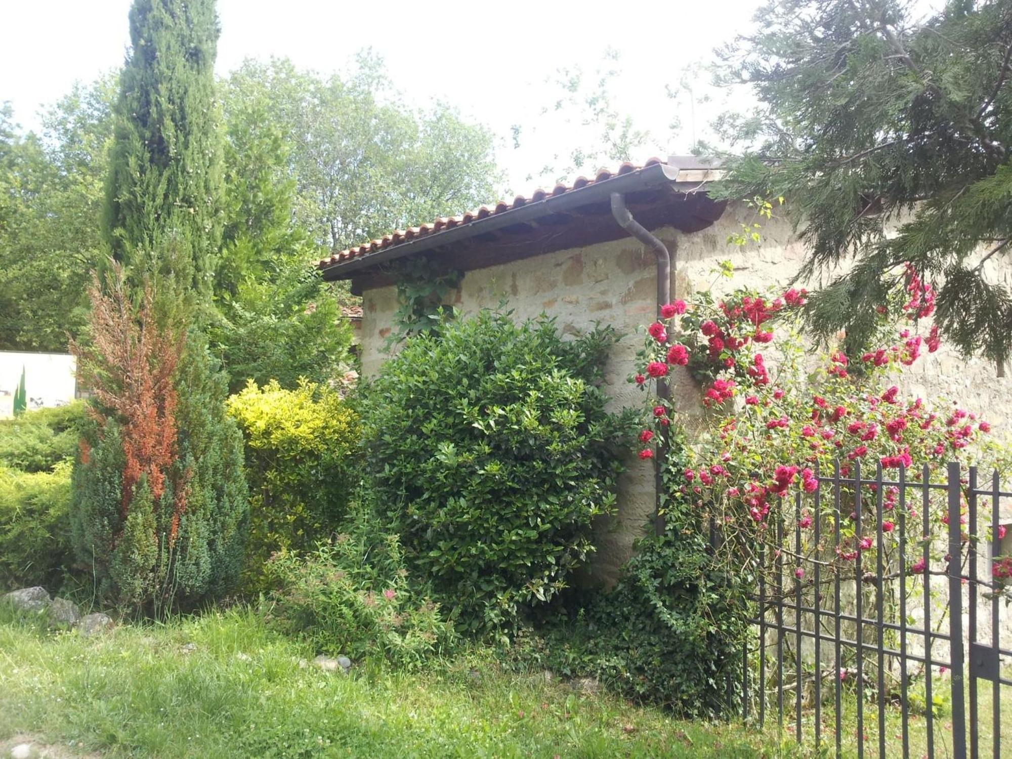 Fattoria Il Praticino - Metato Villa Castelfranco di Sopra Exterior photo